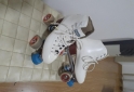 Deportes - Vendo patines - En Venta