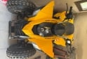 Cuatris y UTVs - Can Am Ds 250 2017  111111Km - En Venta