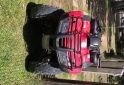 Cuatris y UTVs - Honda Recon 250 cc tm 2007  8352Km - En Venta