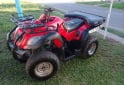 Cuatris y UTVs - Zanella Gforce 250 2013  10000Km - En Venta