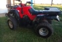 Cuatris y UTVs - Zanella Gforce 250 2013  10000Km - En Venta