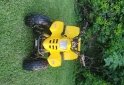 Cuatris y UTVs - Otra marca Panther 75F 2010  1400Km - En Venta