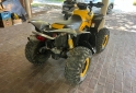 Cuatris y UTVs - Can Am 800 renegade 2011  800Km - En Venta