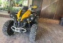 Cuatris y UTVs - Can Am 800 renegade 2011  800Km - En Venta