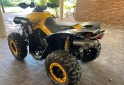 Cuatris y UTVs - Can Am 800 renegade 2011  800Km - En Venta