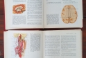 Otros - Libros de ANATOMIA de Latarjet Ruiz Liard - En Venta