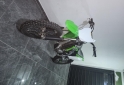 Motos - Kawasaki Kx 450f 2011 Nafta 1111Km - En Venta